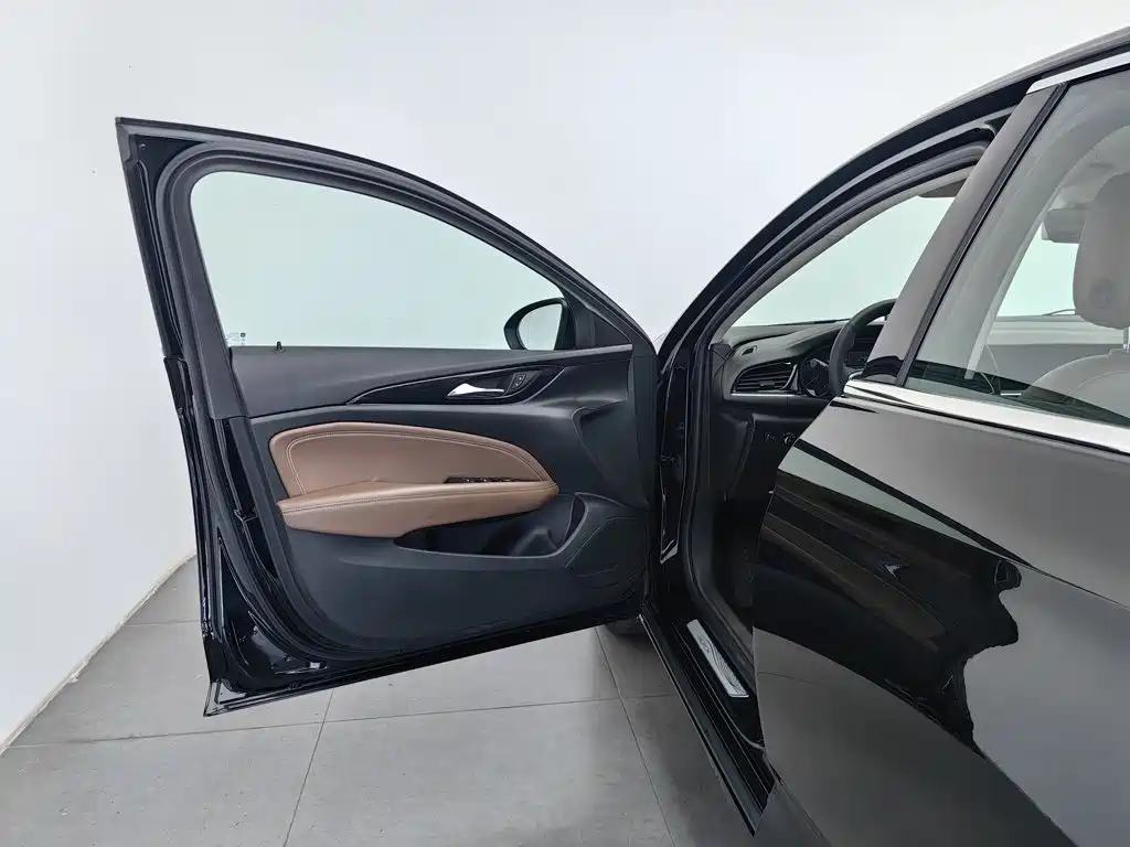 Buick Regal — миниатюра 8