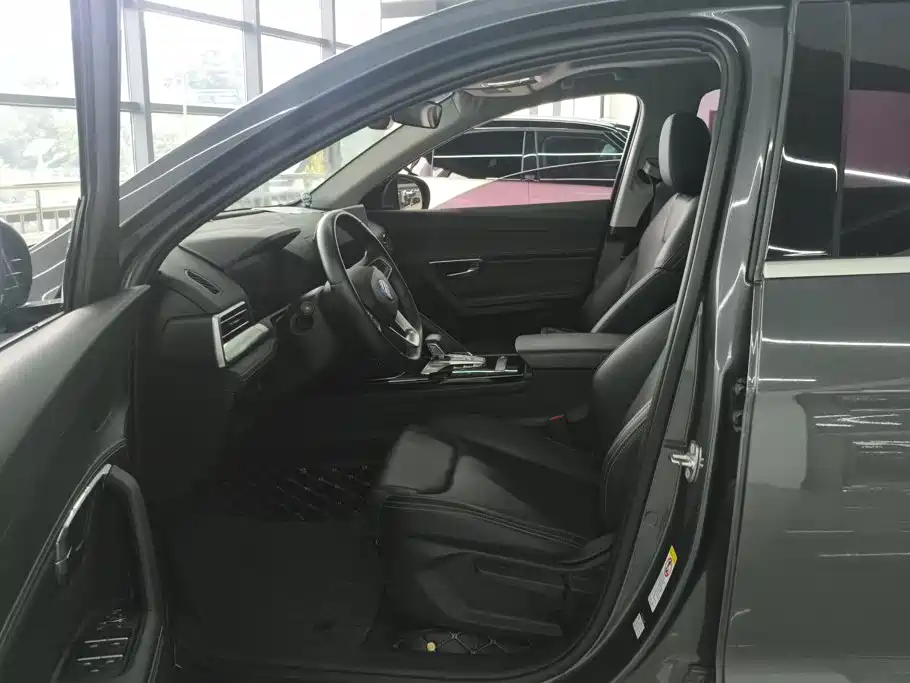 BYD Pro — миниатюра 9