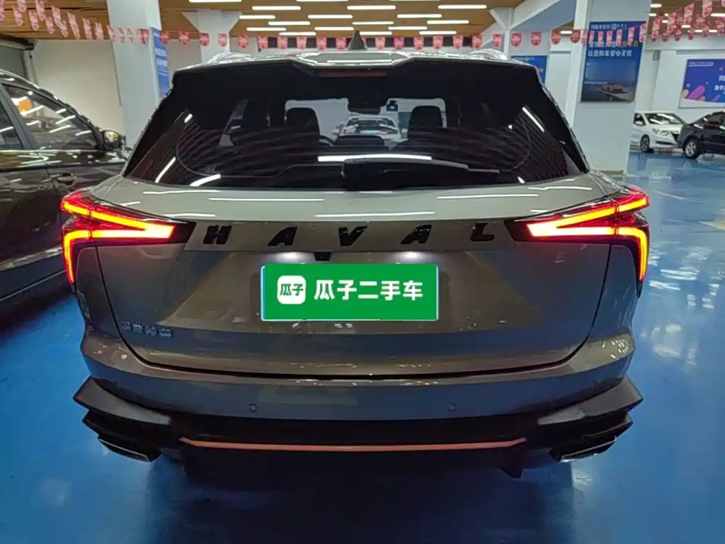 Haval Shenshou — миниатюра 6