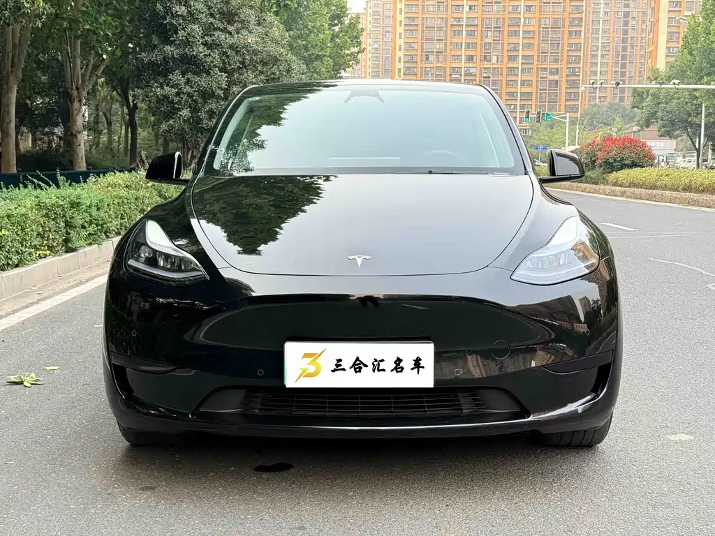 Tesla Model Y — миниатюра 2