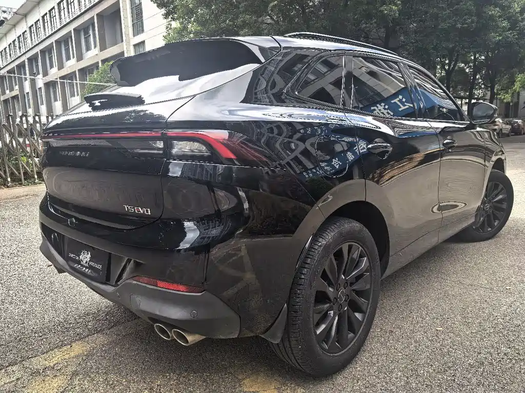 Fengxing Fengxing T5 EVO — миниатюра 23