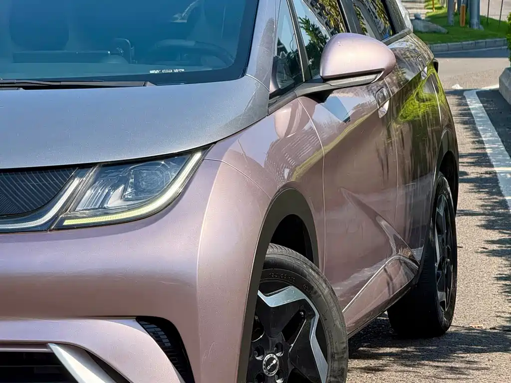 BYD Dolphin — миниатюра 2