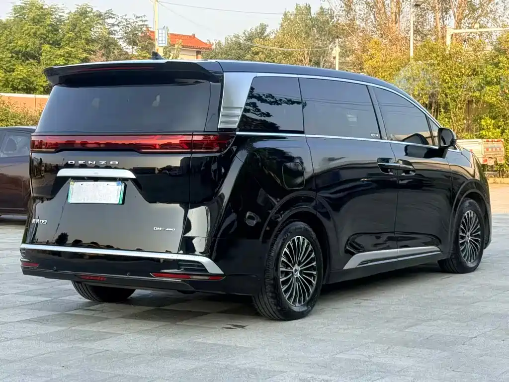 Denza Denza D9 — миниатюра 7