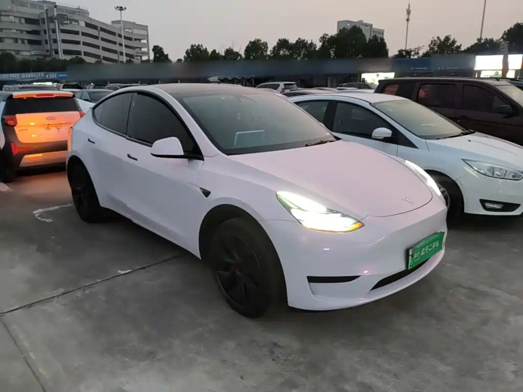 Tesla Model Y — миниатюра 4