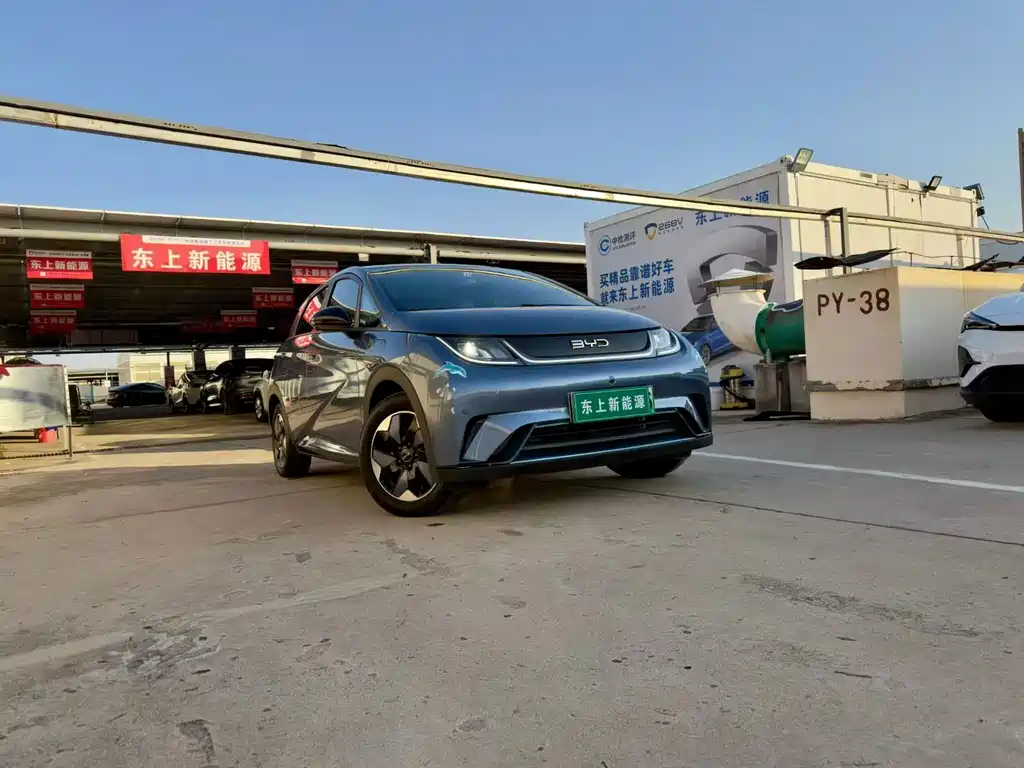 BYD Dolphin — миниатюра 3