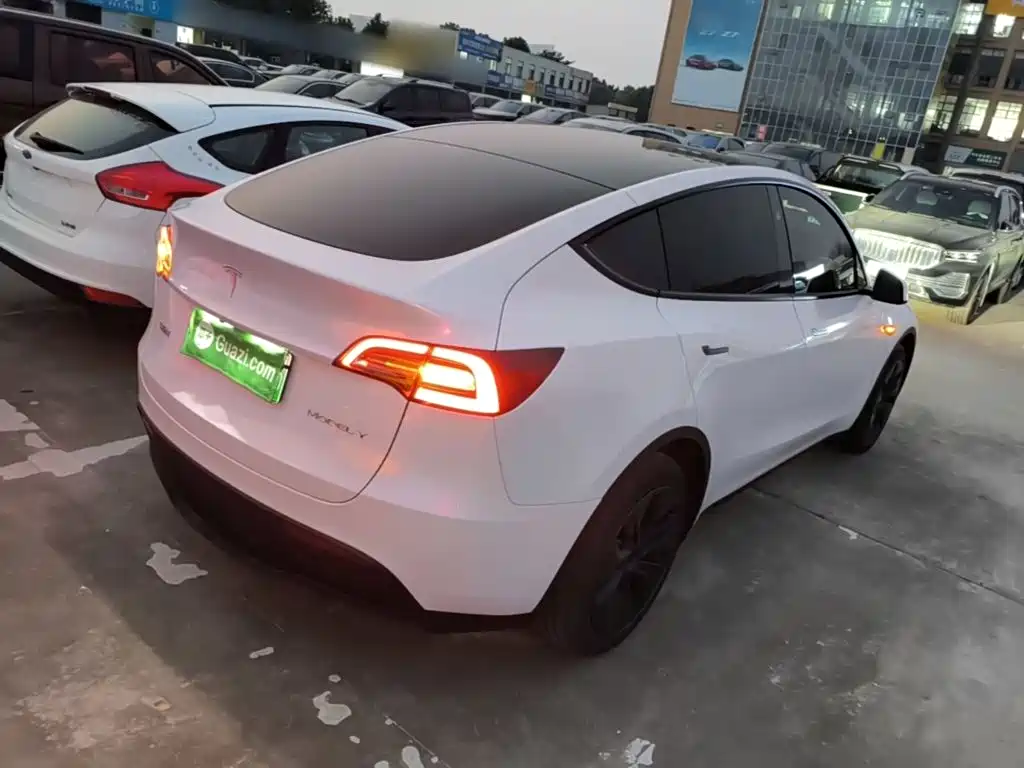 Tesla Model Y — миниатюра 7