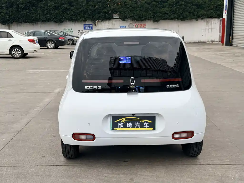 Ora Ora White Cat — миниатюра 8