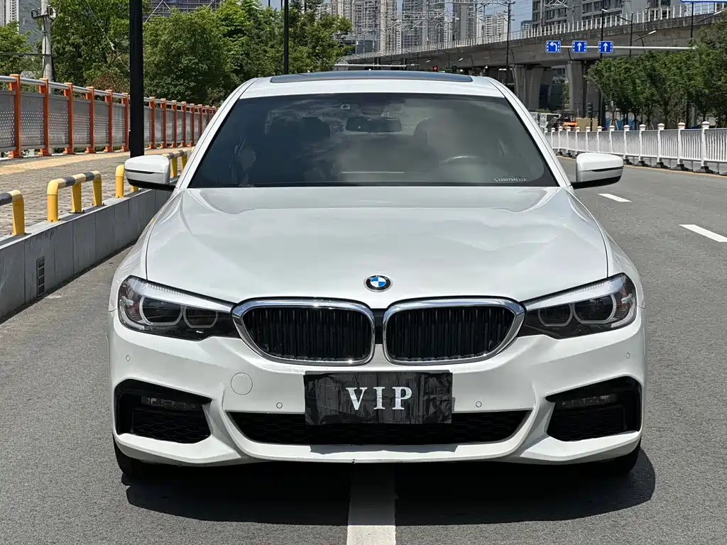 BMW 5 Series 5 2019 525Li M Sport