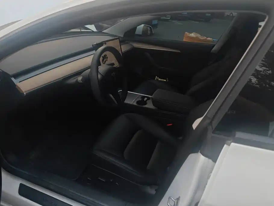 Tesla Model 3 — миниатюра 9