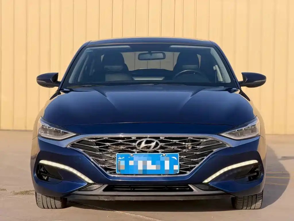 Hyundai Fista — миниатюра 2