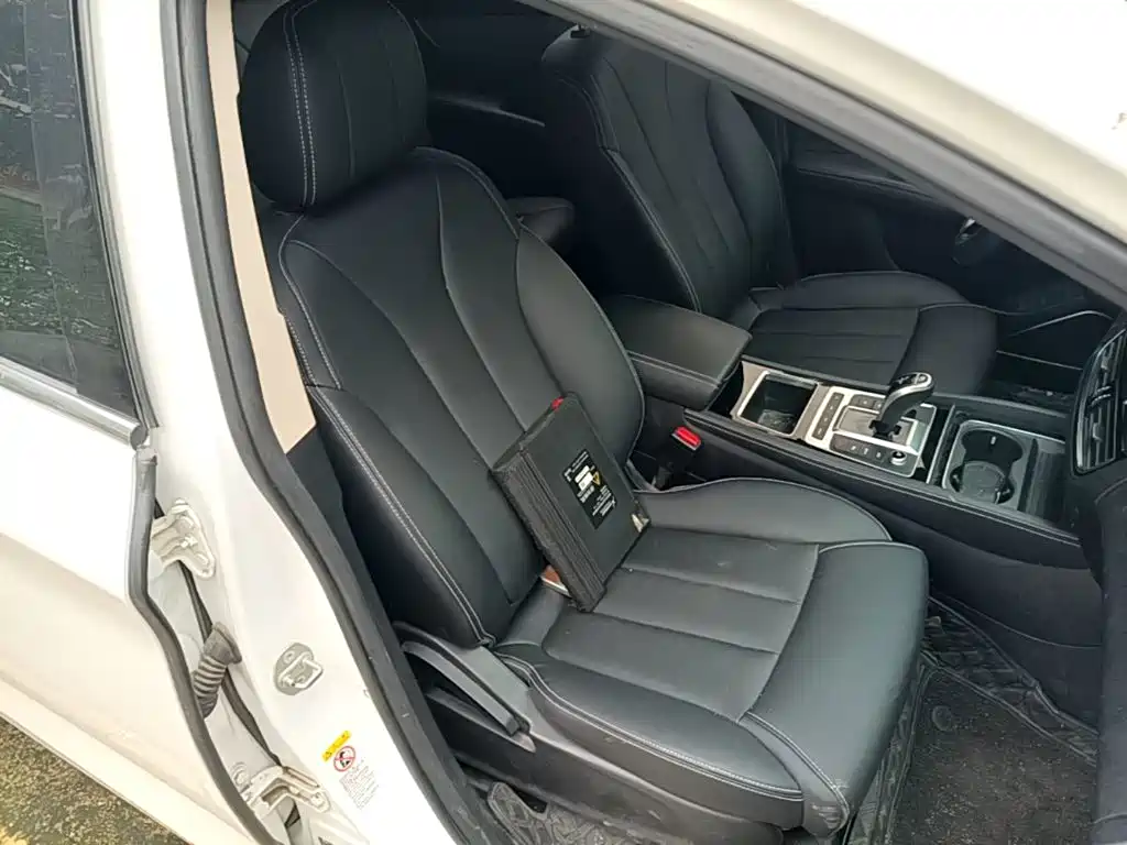 BYD MAX New Energy — миниатюра 25