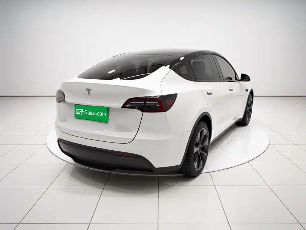 Tesla Model Y — миниатюра 6
