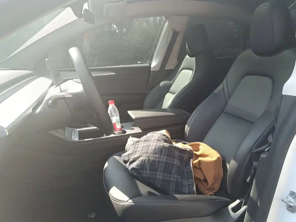 Tesla Model Y — миниатюра 16