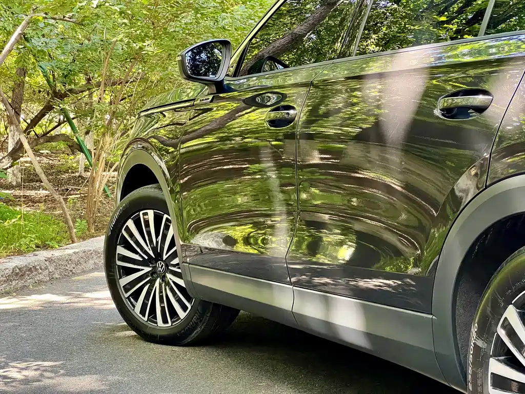 Volkswagen Tavendor — миниатюра 7