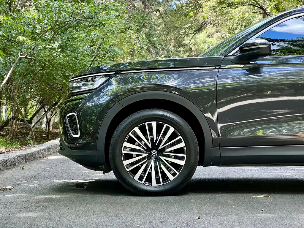 Volkswagen Tavendor — миниатюра 13