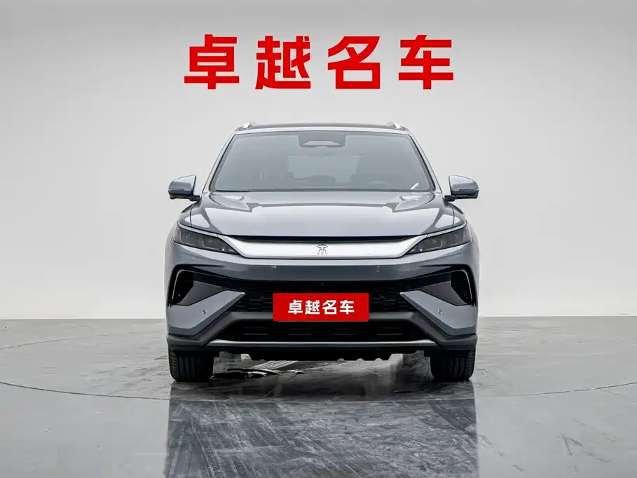 BYD Pro New Energy — миниатюра 5