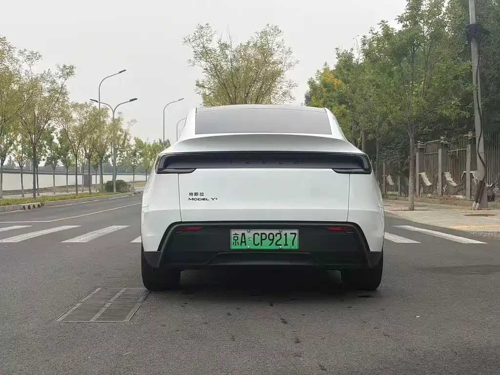Tesla Model Y — миниатюра 22