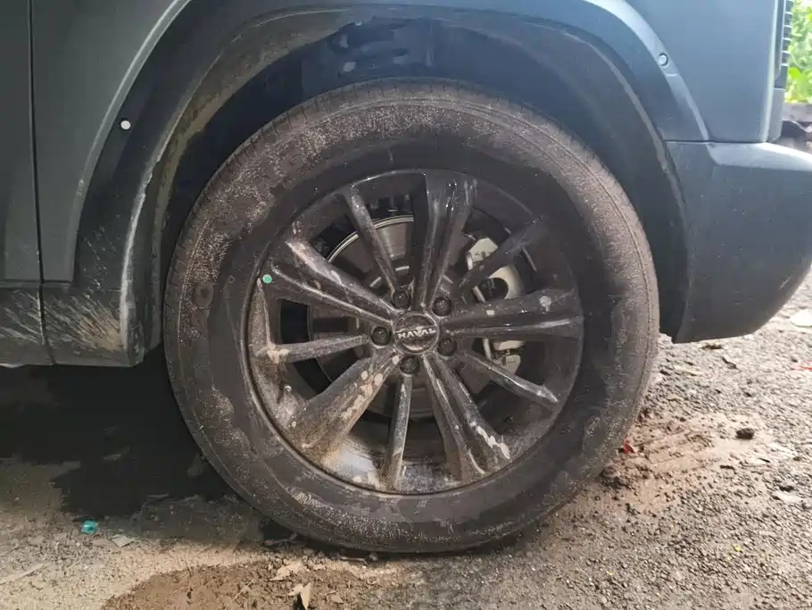 Haval Menglong New Energy — миниатюра 6