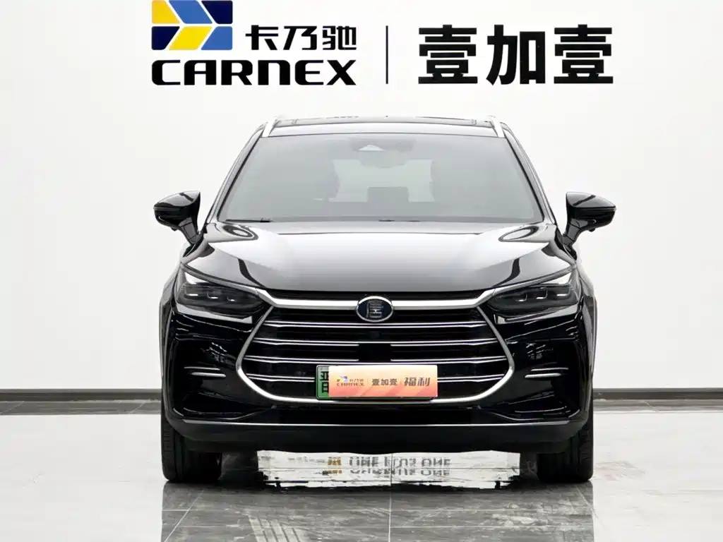 BYD Tang New Energy — миниатюра 2