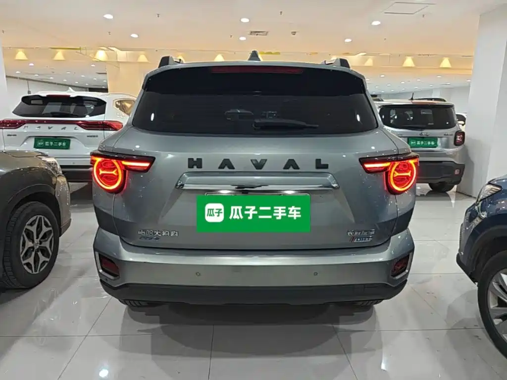 Haval Big Dog PLUS New Energy — миниатюра 3