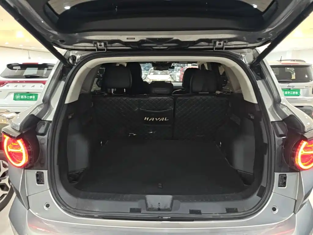 Haval Big Dog PLUS New Energy — миниатюра 15