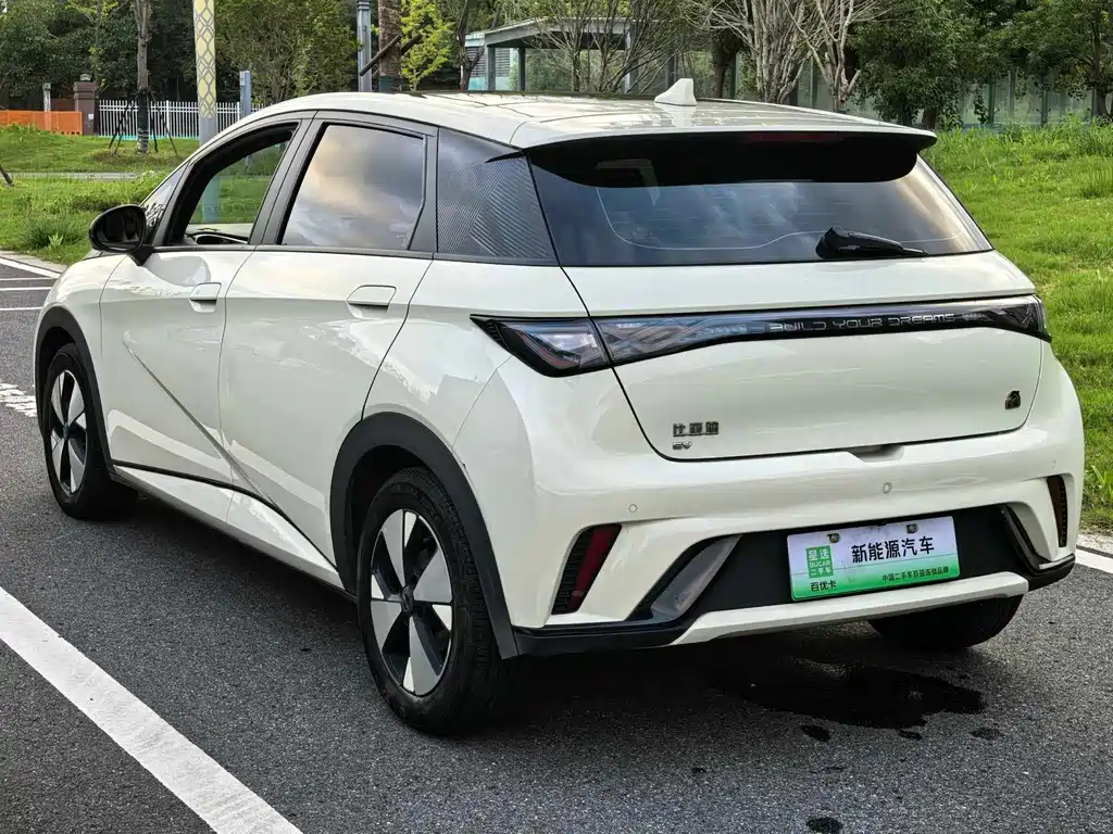 BYD Dolphin — миниатюра 14