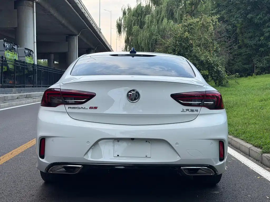 Buick Regal — миниатюра 17