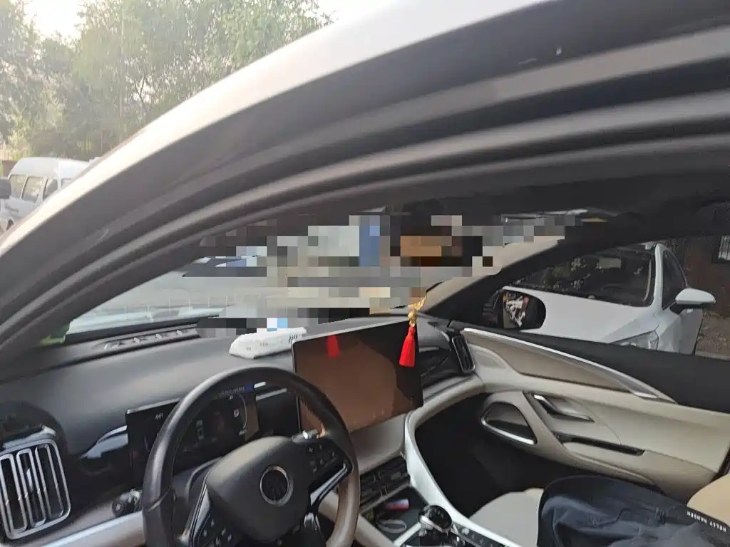 BYD Pro New Energy — миниатюра 14