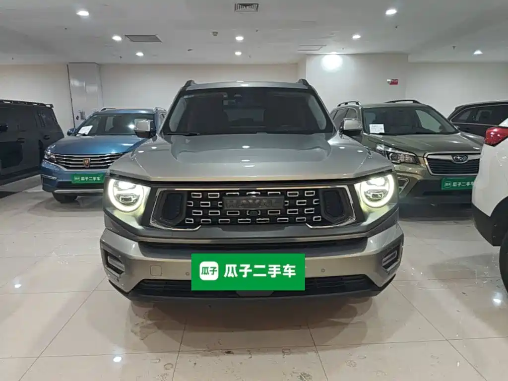 Haval Big Dog PLUS New Energy — миниатюра 2