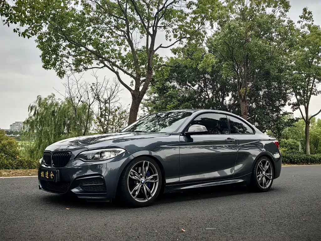 BMW 2 Series (Import) 2017