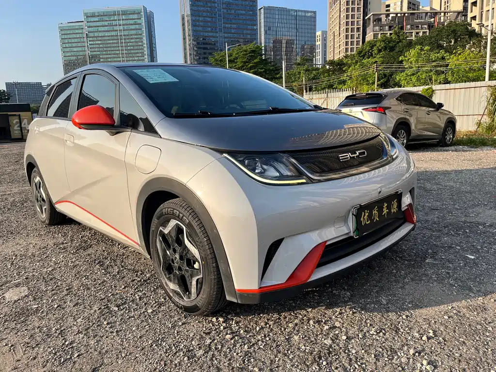 BYD Dolphin 2021 405km Fashion