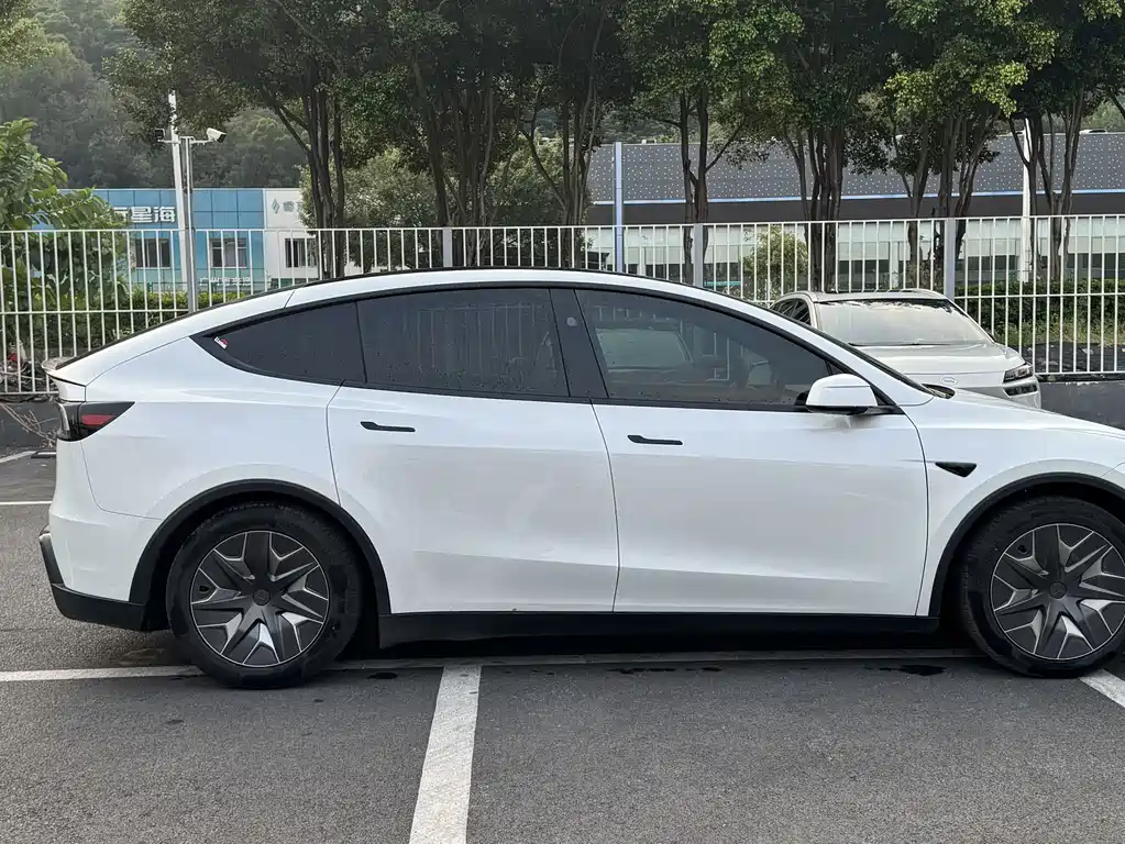 Tesla Model Y L — миниатюра 7