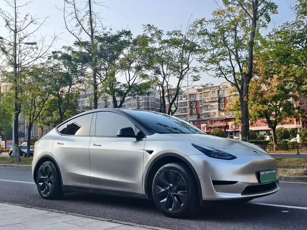 Tesla Model Y — миниатюра 3