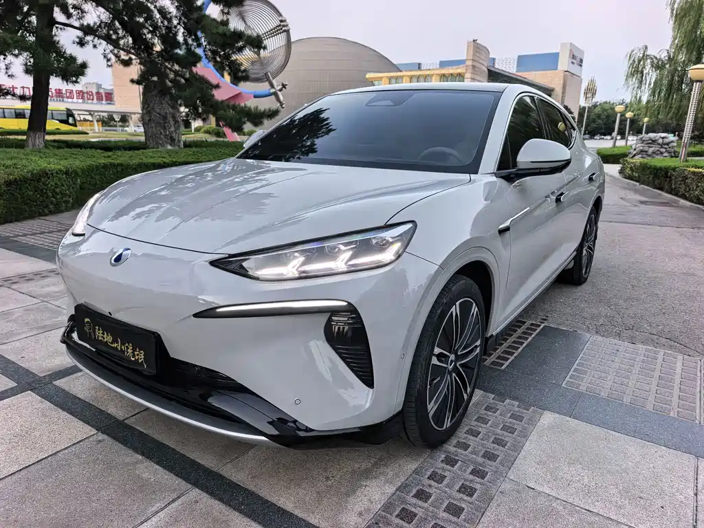 Denza Denza N7 — миниатюра 3