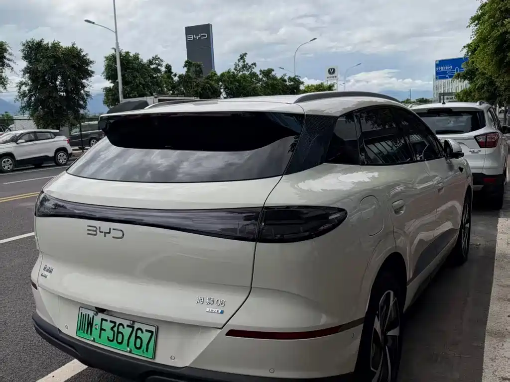 BYD Haisi 06 — миниатюра 3