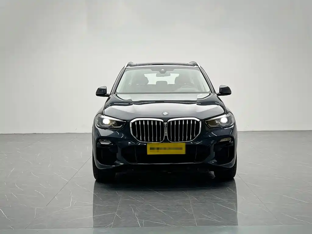 BMW X5 New Energy (Import) — миниатюра 2