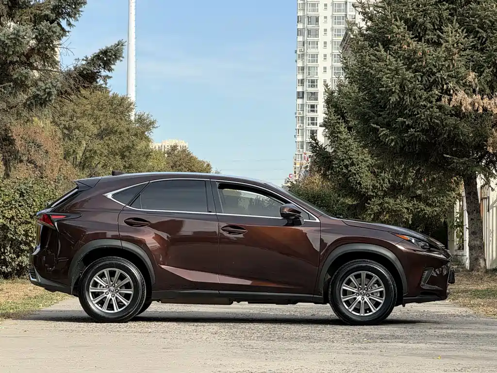 Lexus NX — миниатюра 5