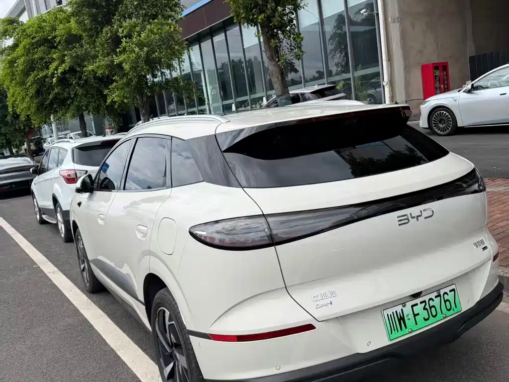 BYD Haisi 06 — миниатюра 5