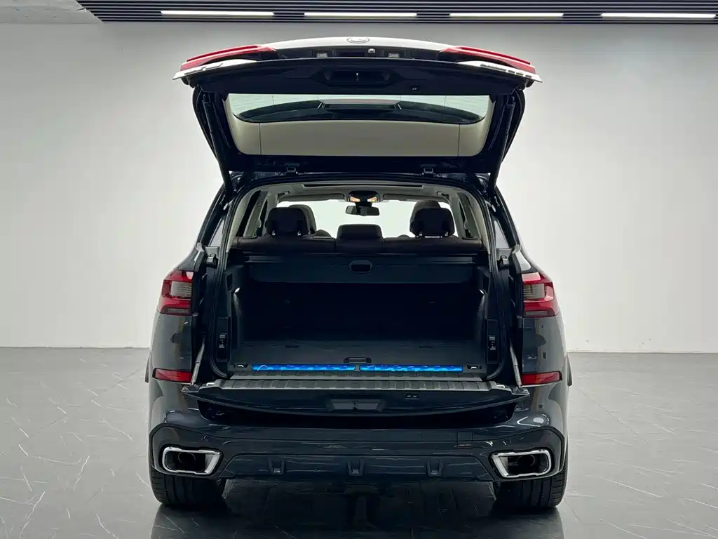 BMW X5 New Energy (Import) — миниатюра 9