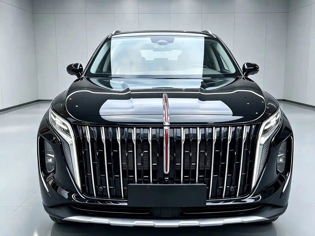 Hongqi Hongqi HS7 PHEV — миниатюра 2