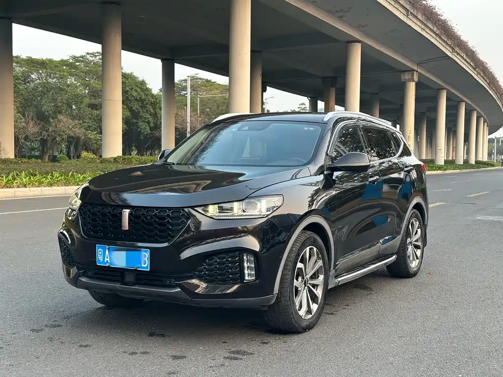 WEI PAI WEI BRAND VV6