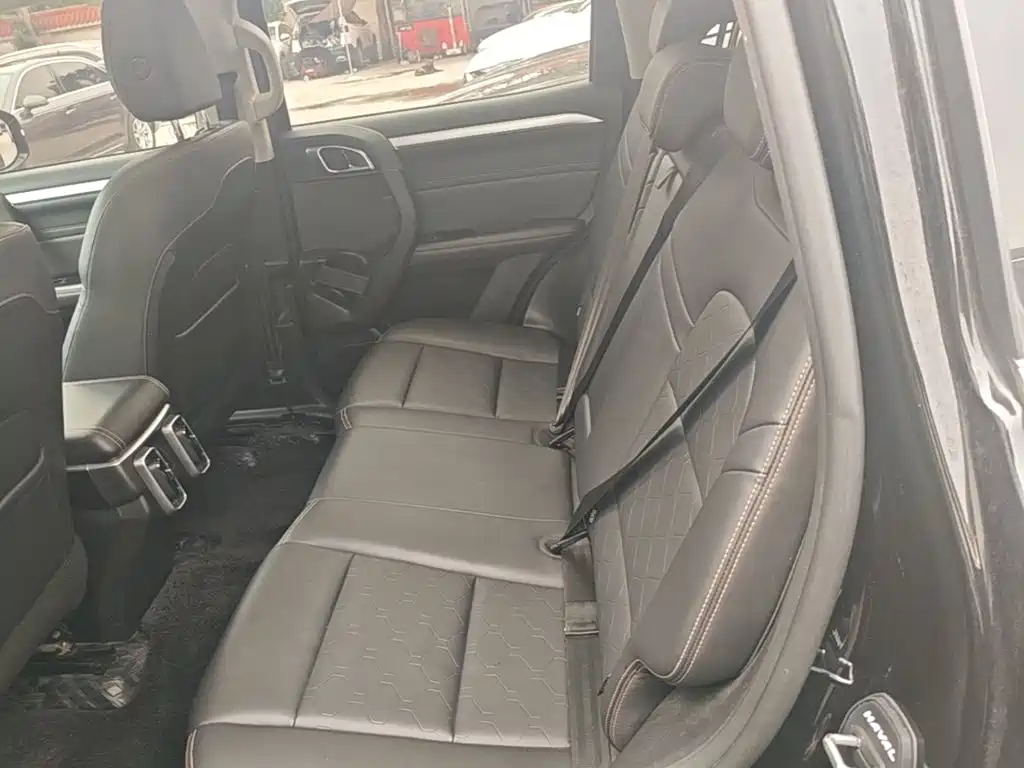Haval Big Dog — миниатюра 13