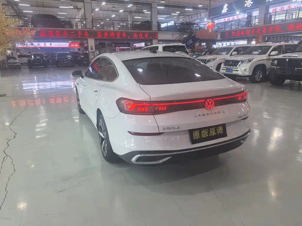 Volkswagen Lamando — миниатюра 11