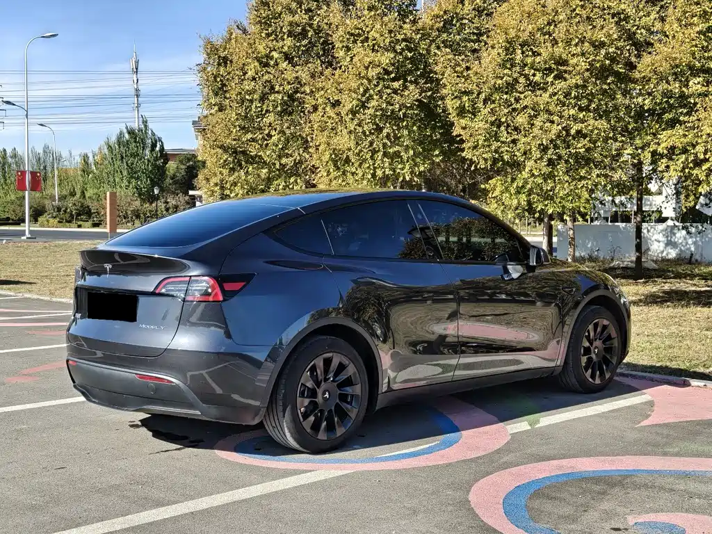 Tesla Model Y — миниатюра 6