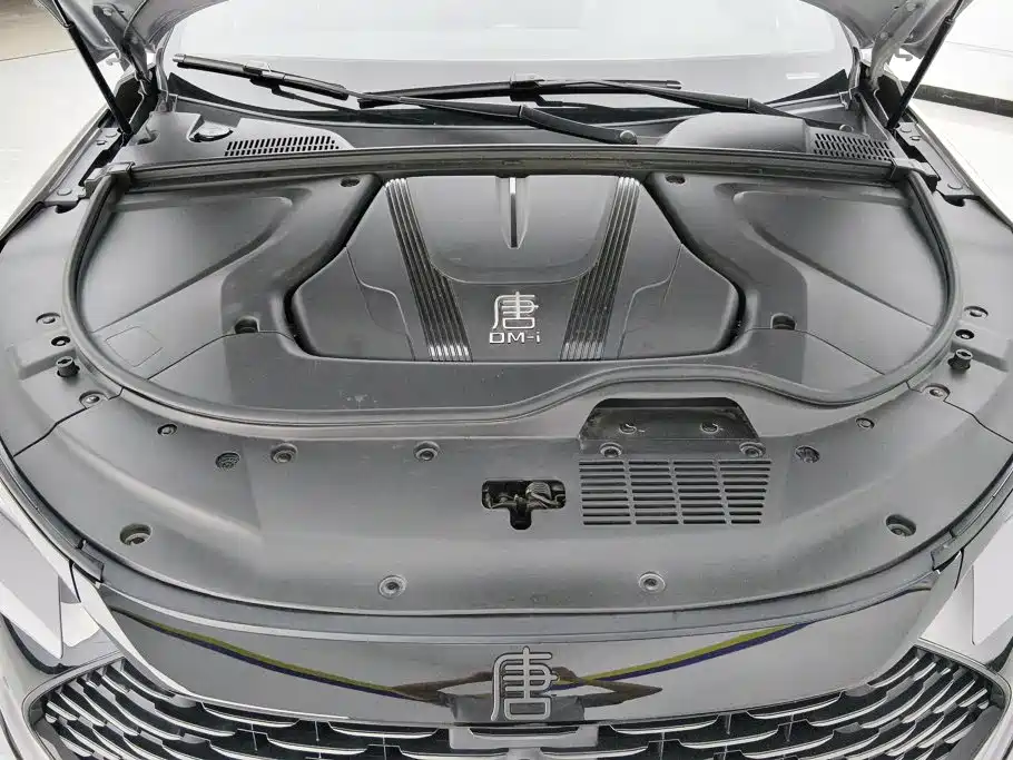 BYD Tang New Energy — миниатюра 9