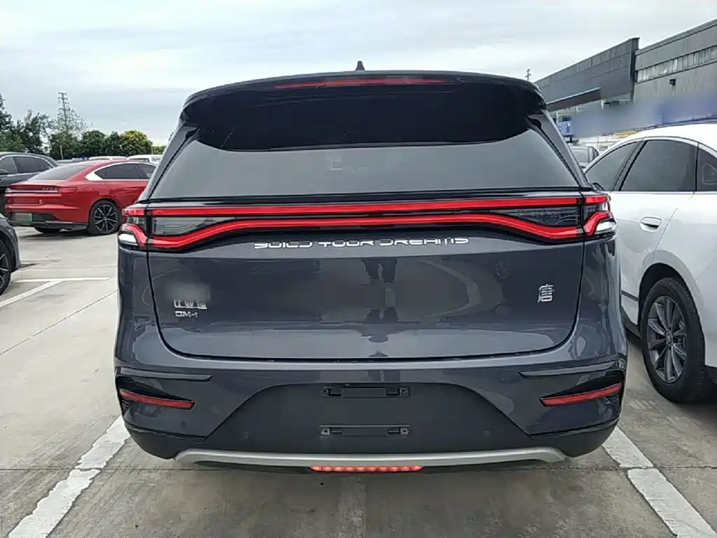 BYD Tang New Energy — миниатюра 6