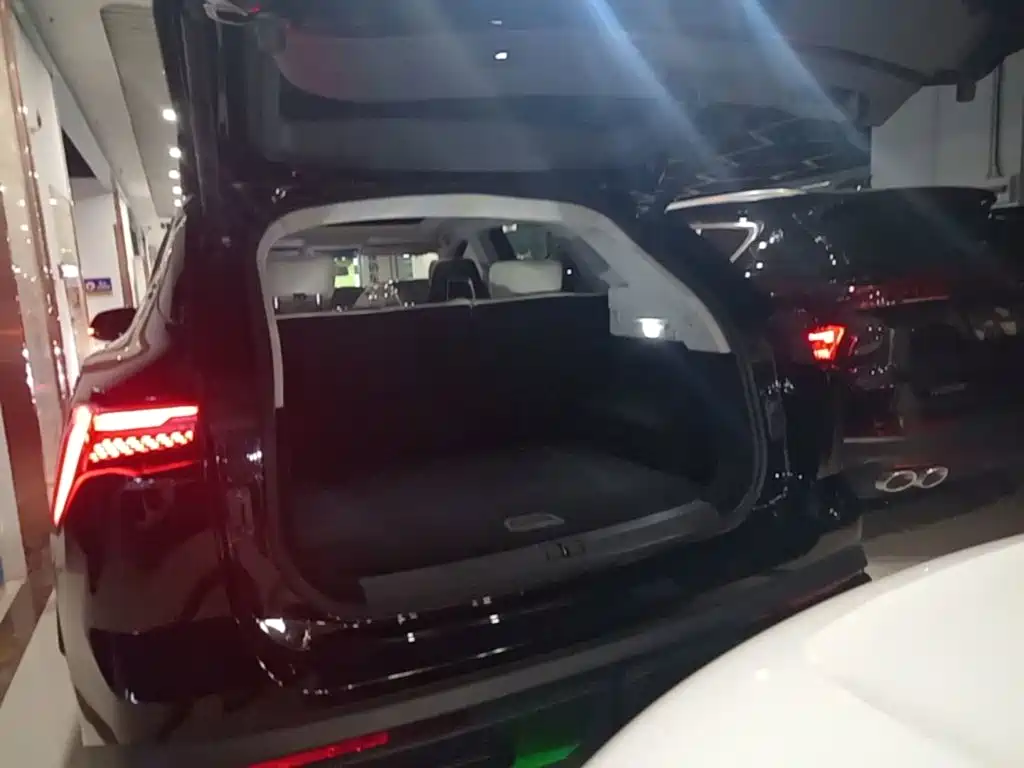 Jetour Dasheng i-DM — миниатюра 19