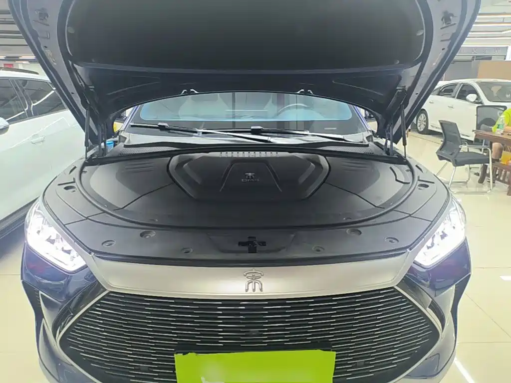 BYD PLUS New Energy — миниатюра 20