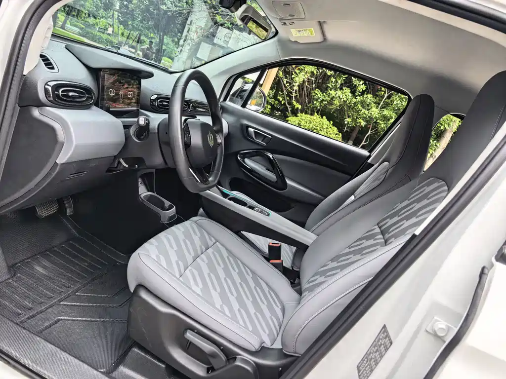 Leapmotor T03 2025 310