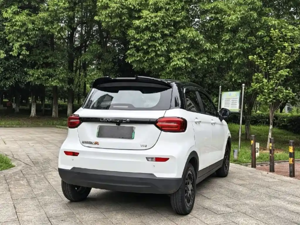 Leapmotor T03 2025 310